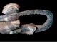 Extremely Rare Mythical Figuration Man - Crocodile Middle Sepik Papua Guinea Pacific Islands & Oceania photo 2