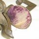 Antique Victorian 1850 ' S Cast Iron Clamp & Fabric Clasp Sewing Bird Pin Cushion Pin Cushions photo 4
