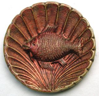 Antique Stamped Brass Button Tinted Fish On A Sea Shell Background photo