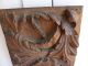 Antique Carved Decorative Oak Panel Plaques photo 3
