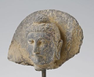 Gandhara Stone Head Of Buddha photo