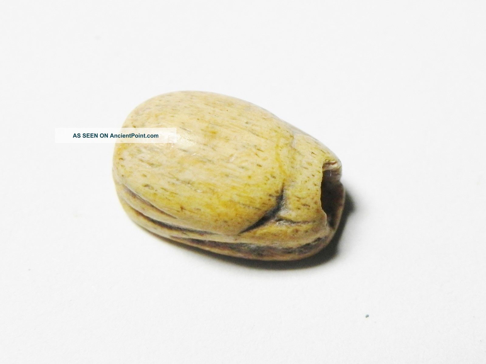 Zurqieh - Ancient Egypt - 18th Dynasty,  1400 B.  C Ivor.  Scarab Egyptian photo
