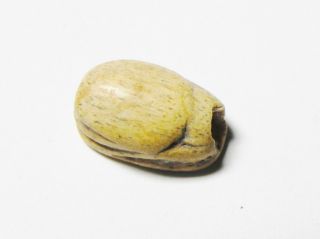 Zurqieh - Ancient Egypt - 18th Dynasty,  1400 B.  C Ivor.  Scarab photo