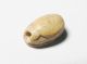 Zurqieh - Ancient Egypt - 18th Dynasty,  1400 B.  C Ivor.  Scarab Egyptian photo 1