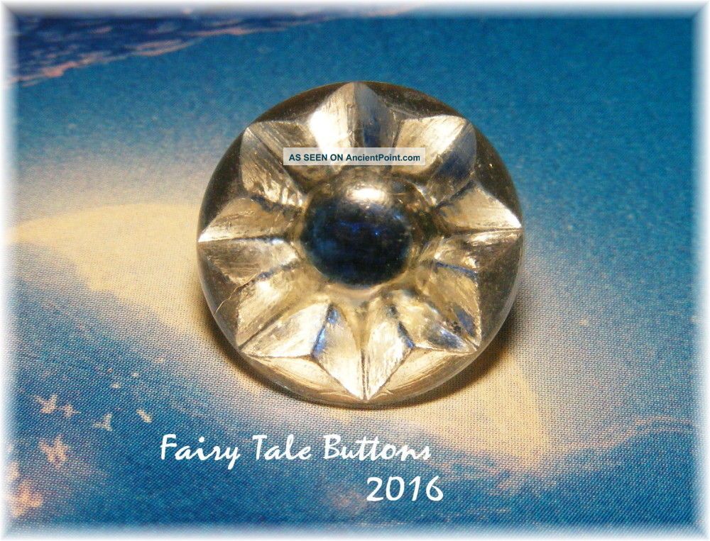 Antique Collectible Radiant Glory Button Ribbed Back W Blue Buttons photo