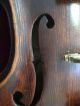Very Rare Antique Violin By Frank A Thomas 1949 Restored & Varnished 1972 String photo 6