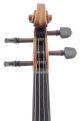 Rare Briani Cipriano Vicentino Labeled Antique 4/4 Old Master Violin String photo 3