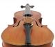 Rare Briani Cipriano Vicentino Labeled Antique 4/4 Old Master Violin String photo 4