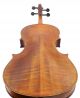 Rare Briani Cipriano Vicentino Labeled Antique 4/4 Old Master Violin String photo 5