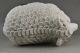 Old Decoration Jingdezhen Porcelain Carving Bring Fortune Sheep Statue Nr Other Chinese Antiques photo 1
