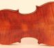 Antique Rare Old Violin Lab.  Storioni 1798 Geige Violon Violine Violino Viola String photo 5