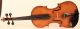 Rare And Fine Old Violin G.  Pedrazzini Geige Violon Violine Violino Viola Italian String photo 1