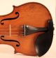 Rare And Fine Old Violin G.  Pedrazzini Geige Violon Violine Violino Viola Italian String photo 2