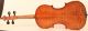 Rare And Fine Old Violin G.  Pedrazzini Geige Violon Violine Violino Viola Italian String photo 3