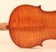 Rare And Fine Old Violin G.  Pedrazzini Geige Violon Violine Violino Viola Italian String photo 4