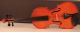 Fine Viola Labeled A.  Guerra 1948 Geige Violon Violin Alto Bratsche Cello 408 Mm String photo 4