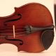 Old Interesting Violin Lab.  G.  Pollastri 1926 Geige Violon Violino Violine Viola String photo 1
