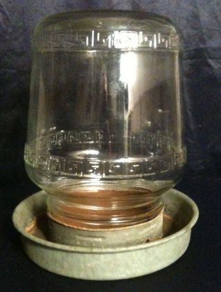 Vintage Chicken Waterer & One Gallon Premier Jar Topper photo