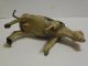 Early Composition Painted Cow Wooden Stick Legs String Tail Old Childs Toy Primitives photo 1