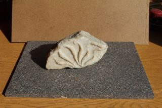Ancient Roman Marble Column Capital,  Section Carved In The Corinthian Style photo