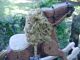 Primitive Folk Art Hand Made Wood Hobby Horse Shelf Display Primitives photo 2