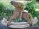 Primitive Folk Art Hand Made Wood Hobby Horse Shelf Display Primitives photo 3