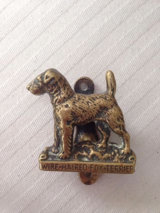 Rare Vintage Brass Door Knocker– Fox Terrier Dog – Lovely Unusual Novelty photo