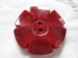 Vintage Flower Buttons From Bakelite/france photo