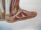 Vintage Anatomical Pull Down School Chart Of The Human Muscular System Circa 196 Other Antique Science, Medical photo 7