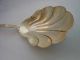 Antique Reed & Barton Solid Shell Casserole Serving Spoon 1901 Tiger Lily L1 Flatware & Silverware photo 4