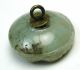 Scarce Antique Gray/grn Glass Button Beetle On Sea Shell Carnival Luster Buttons photo 1