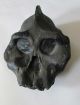Australopithecus Aethiopicus,  2.  6 Mil.  Years Old,  The Black Skull - Replica Neolithic & Paleolithic photo 4