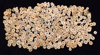 Awesome Group Of 500,  Antique Cow Bone Buttons photo