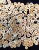 Awesome Group Of 500,  Antique Cow Bone Buttons Buttons photo 2