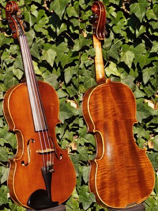 Vintage Czechoslovak Violin - O.  J.  Willmann,  Bratislava.  Gorgeous,  Mature Tone photo