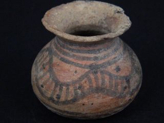 Ancient Teracotta Painted Pot Indus Valley 2500 Bc Pt15037 photo