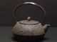 Antique Japan Tea Ceremony Iron Teapot Bonsai Pine Pattern By Maruzen Teapots photo 2