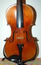Fine German Handmade 4/4 Violin - Julius Heinrich Zimmermann - Around 1910 String photo 1