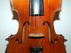 Fine German Handmade 4/4 Violin - Julius Heinrich Zimmermann - Around 1910 String photo 2