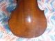 Antique Jtl Copie Nicolaus Gagliano 4/4 Violin 23 Inches String photo 8