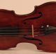 Antique Old Violin Lab.  Rogerius 1670 Geige Violon Violine Violino 小提琴 バイオリン String photo 3