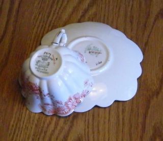 Vintage Foley China Tea Cup And Saucer photo