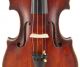 Infrequent Antique Italian - Franciscus Chalo Labeled 4/4 Old Master Violin String photo 2