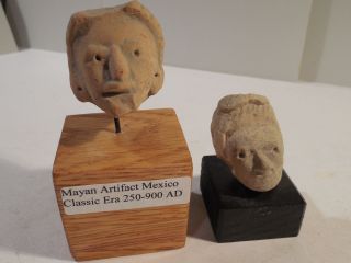 2 Mayan Head Displays Pre - Columbian Archaic Ancient Artifacts Olmec Huastec Nr photo