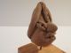 Chupicuaro Michoacan Display Pre - Columbian Archaic Ancient Artifact Olmec Mayan The Americas photo 2