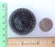 Large Old Black Glass Button In Metal Buttons photo 1