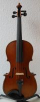 Great Full - Size (4/4) Violin - Stradivarius Model With Label String photo 1