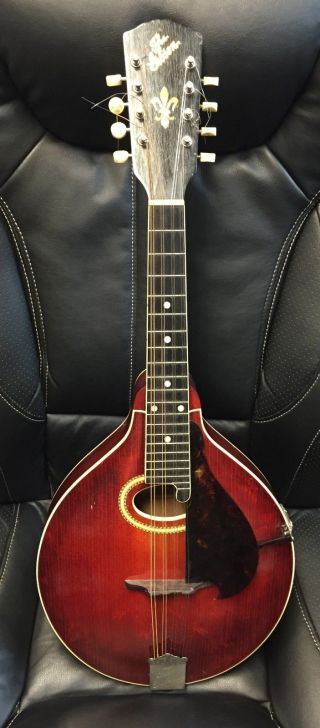 The Gibson H2 Mandola Mandolin photo
