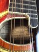 The Gibson H2 Mandola Mandolin String photo 1