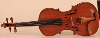 Old Rare Violin D.  Tecchler Geige Violon Violine Violino Viola 小提琴 バイオリン Viool photo